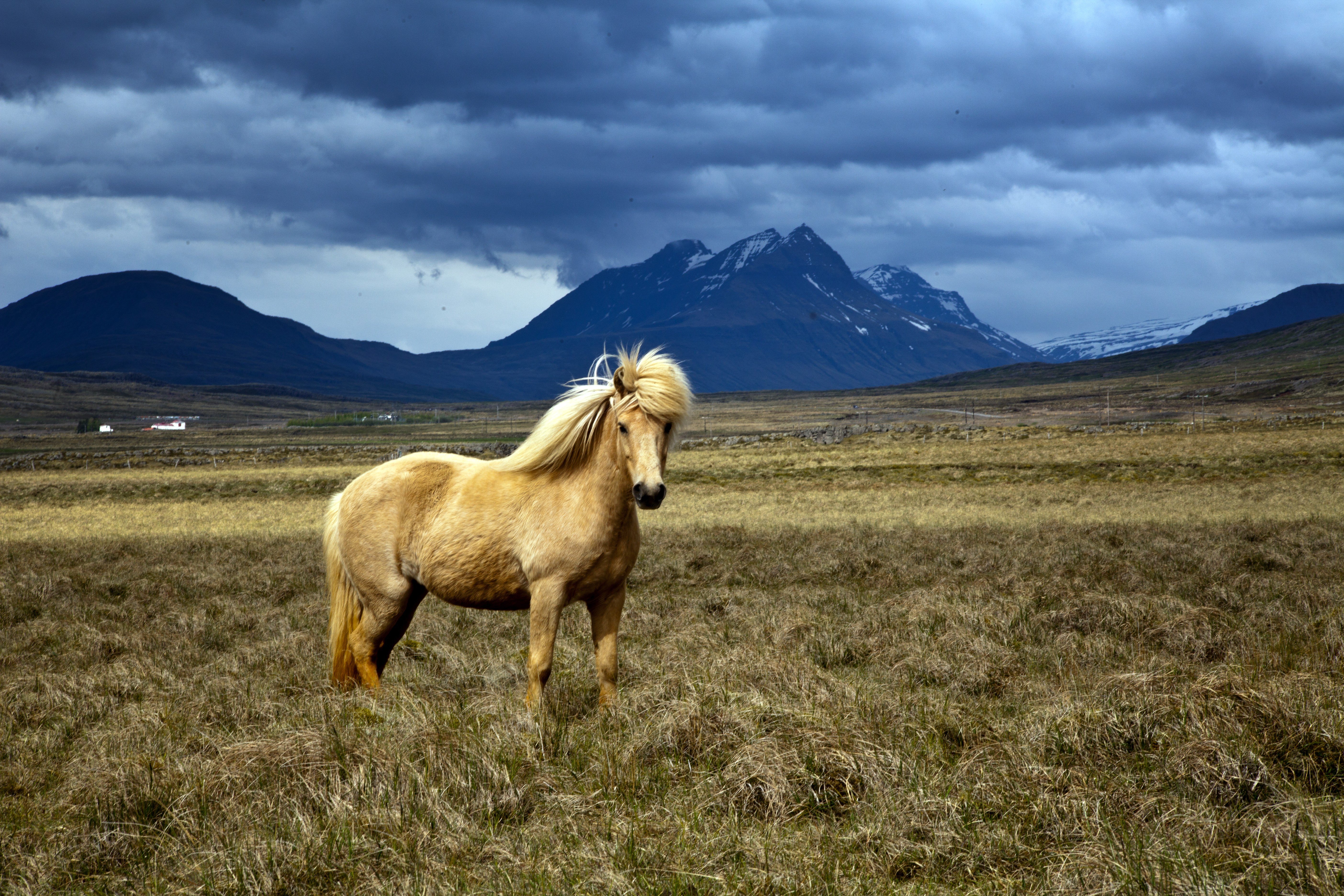 the-broad-valley-of-the-east-icelandic-times