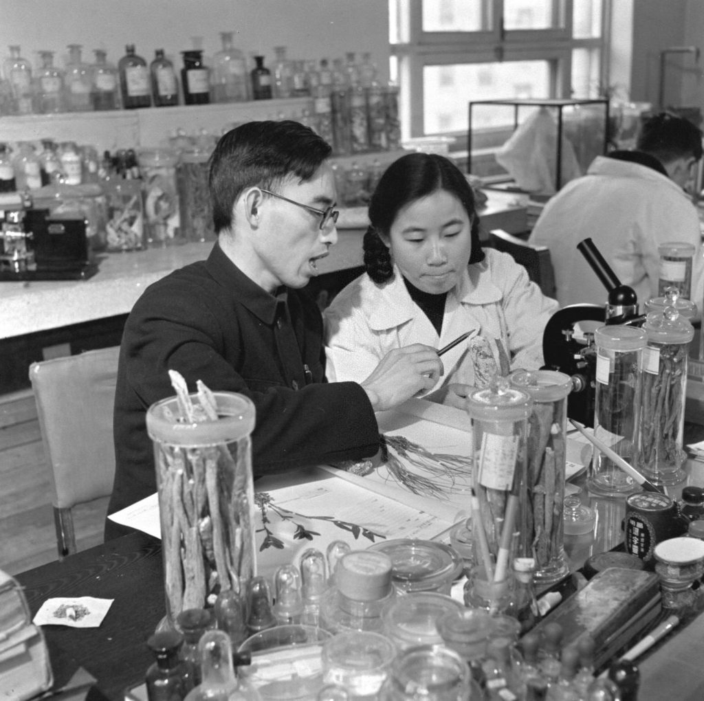 Young Tu Youyou