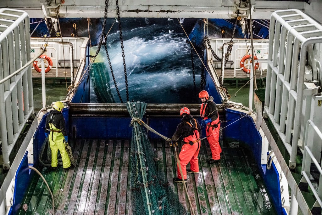 The Fishing Industry in Iceland