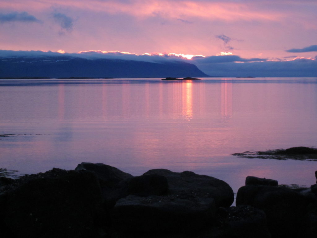 Seaweed farming in Breiðafjörður