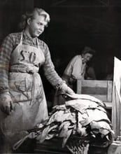 Ein viktar saltfisk
