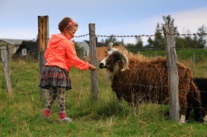 web-Iceland_Travel_Family_holidays_in_Iceland-52