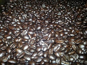 Cafe_Haiti_beans