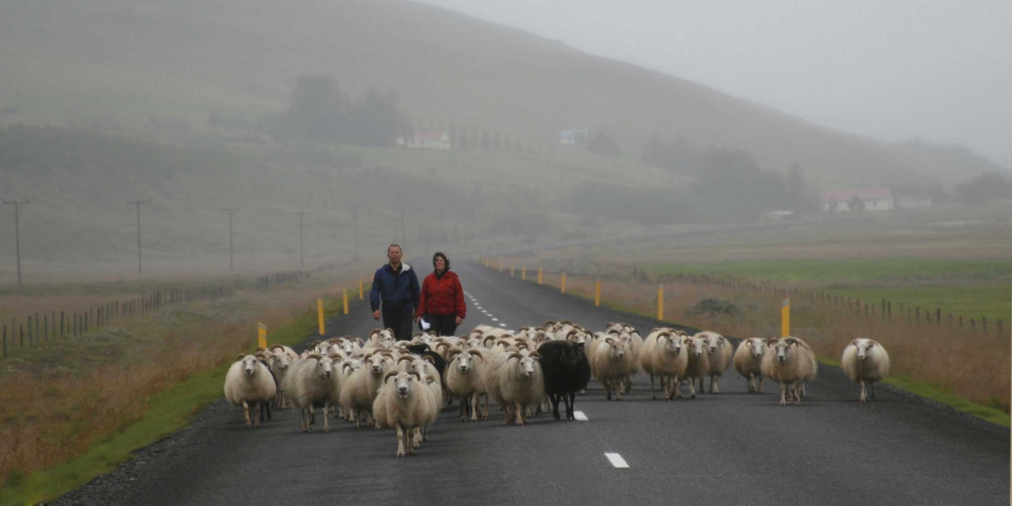 Smalamenn á ferð í S-Þing