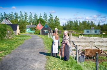 Árbær Open air museum
