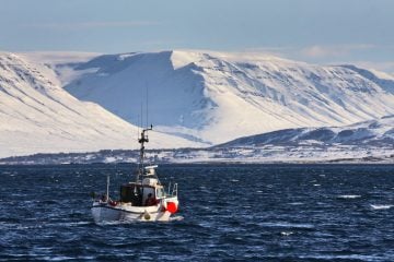 Finnafjörður Harbour Project