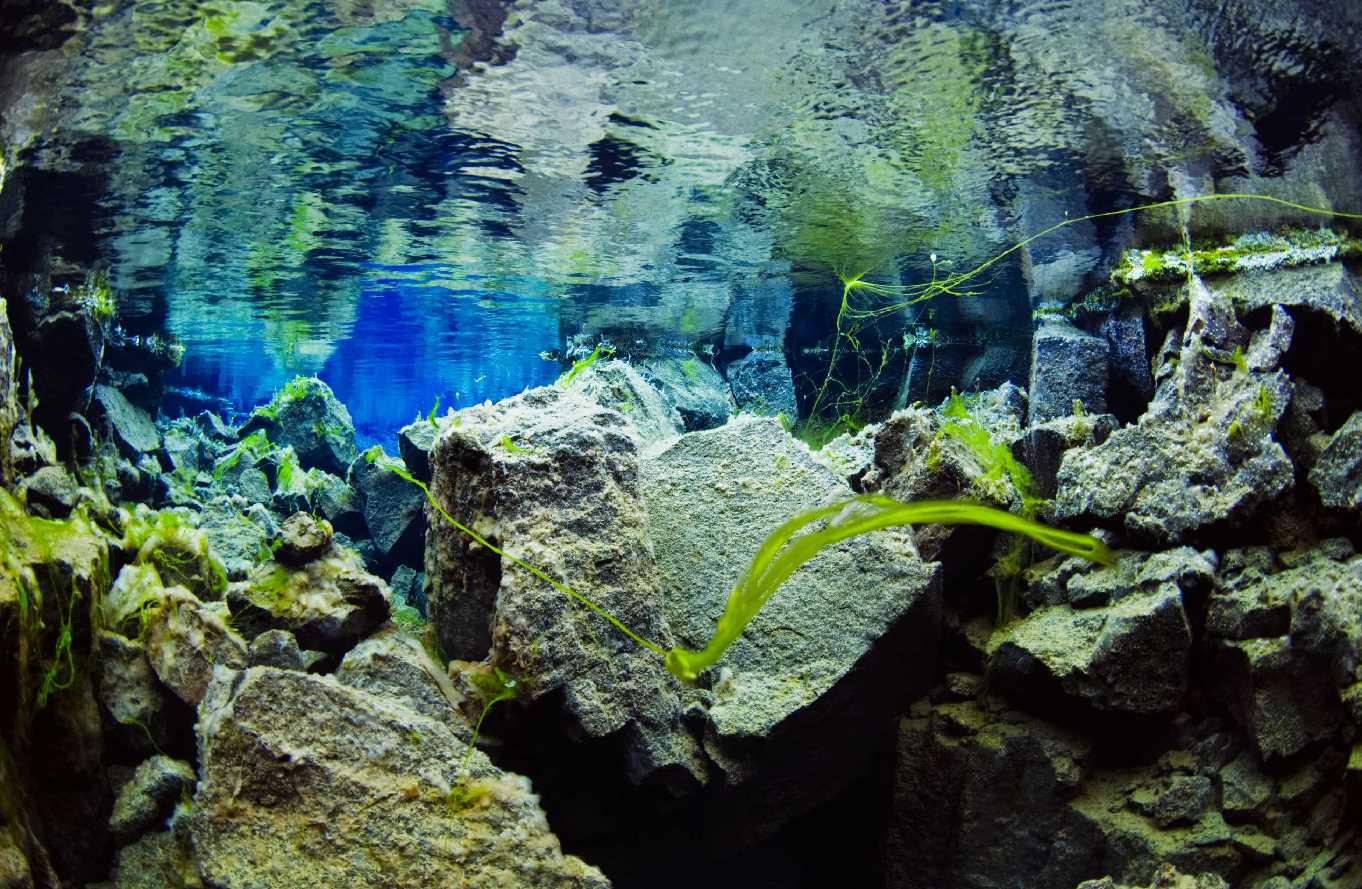 Mission Iceland underwater - WWE