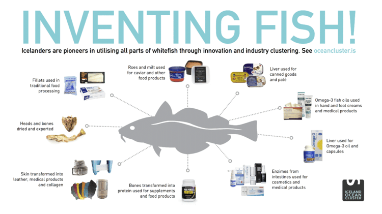 Inventing-Fish