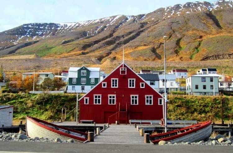 sild herring siglufjordur icelandic icelandic times