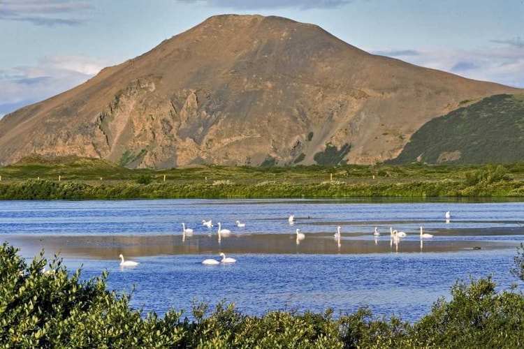 Belgjarfjall+alftir