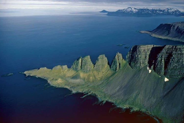 Bjorn_Strandir_BjornRur_Drangaskord icelandic times