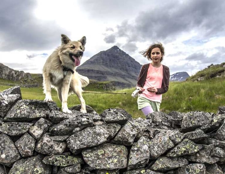 Vid rettina djupavogur iceland ictimes