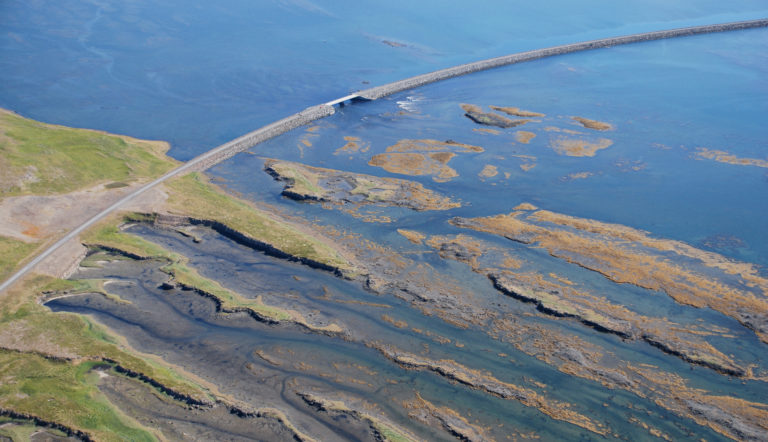 Icelandic Seaweed