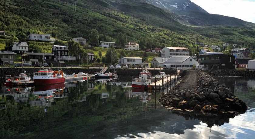 eskifjorder puffins hotels icelandic times