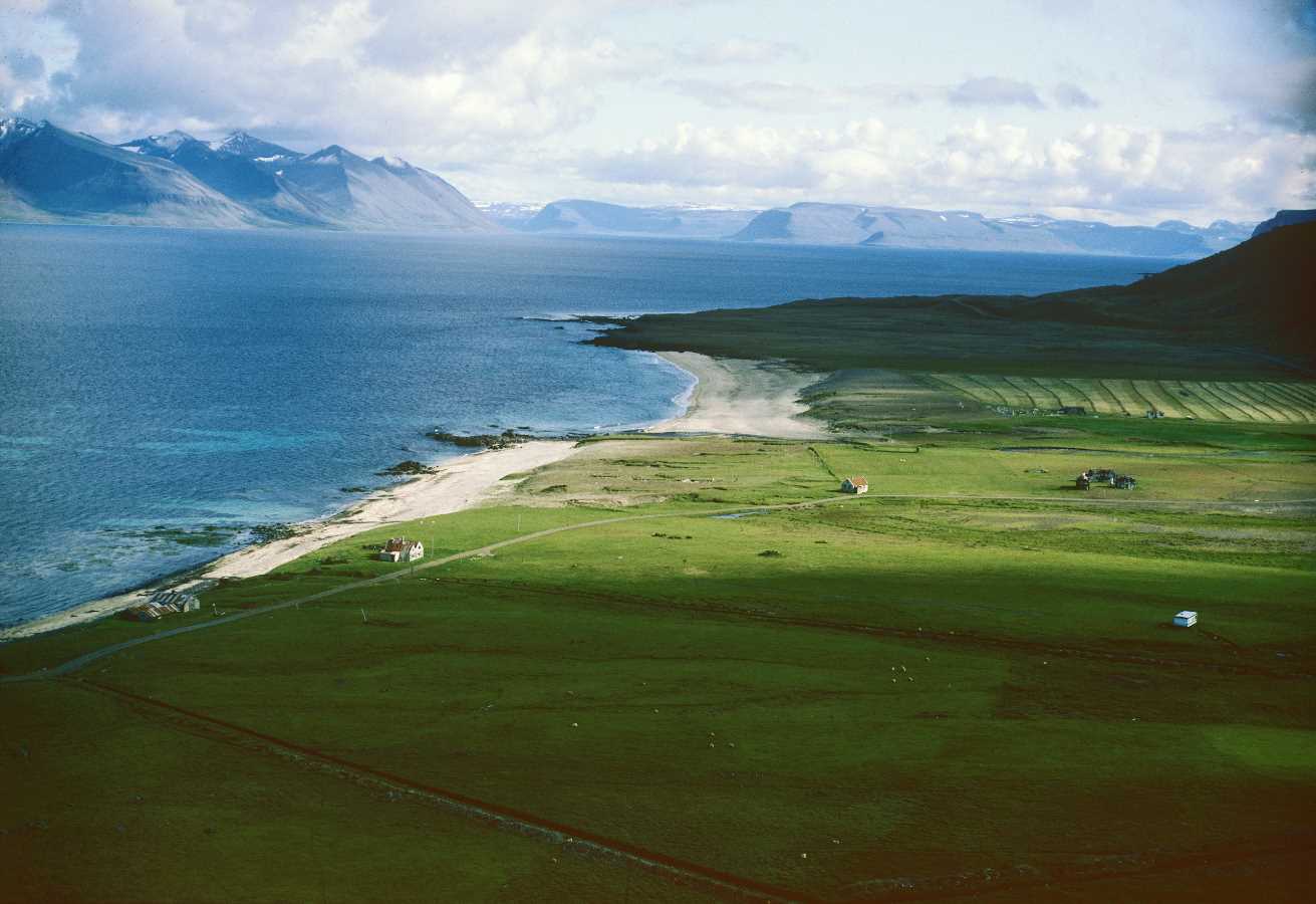 Arnarfjörður Icelandic Times