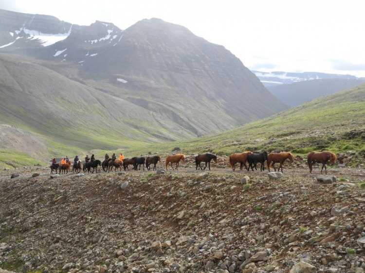 helluland icelandic times