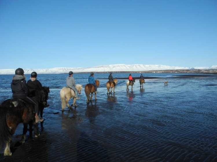 helluland icelandic times skagafjordur