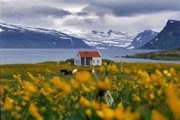 Visit Spectacular Strandir - Icelandic Times