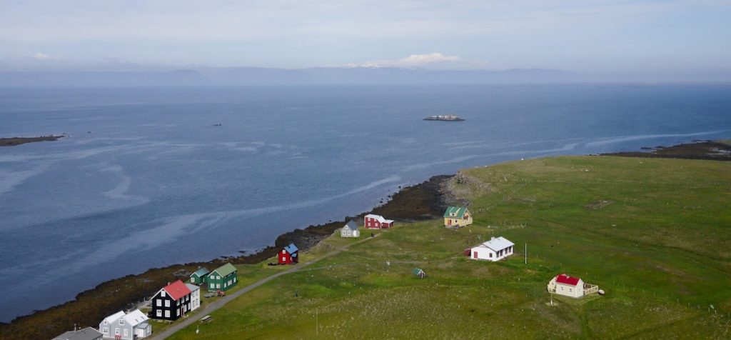 Kelp farming in Breiðafjörður