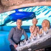 Whales of Iceland Family fun